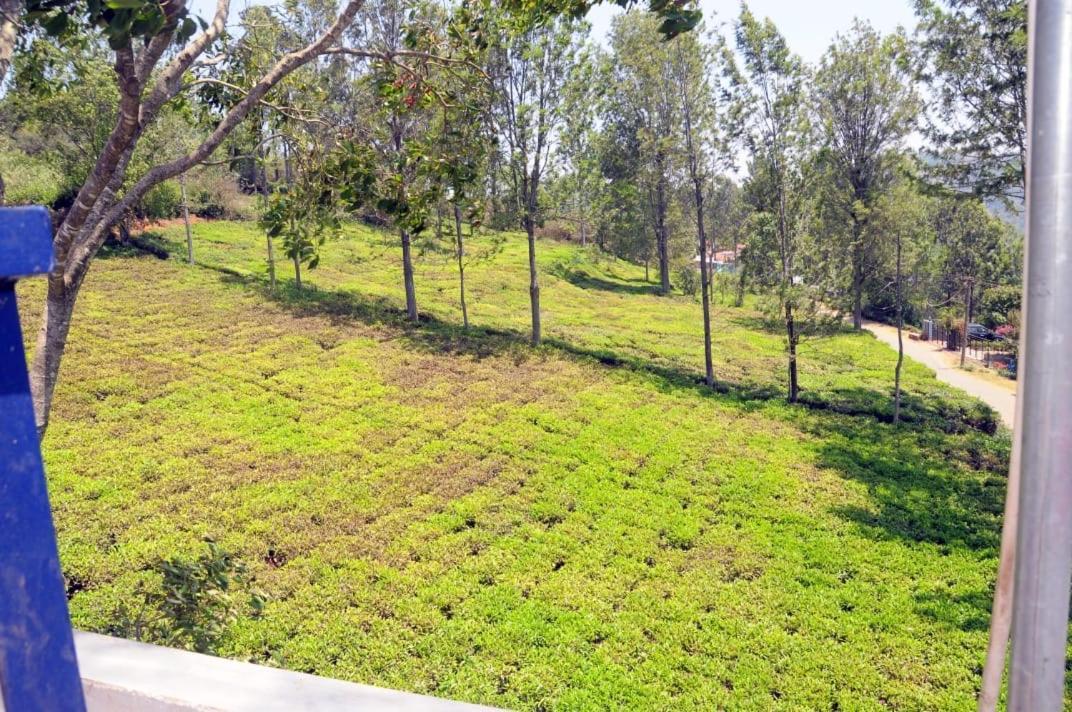 كوتاغيري Franc Villa - Kothagiri المظهر الخارجي الصورة
